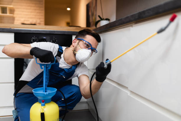 Best Emergency Pest Control  in Egypt Lake Leto, FL
