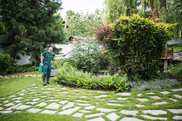 Best Ant Control Services  in Egypt Lake Leto, FL