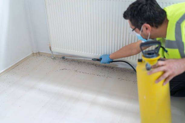Best Affordable Pest Control Services  in Egypt Lake Leto, FL